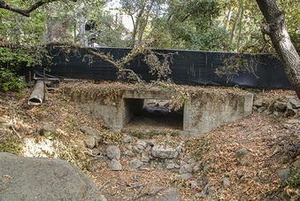 Enlarge photo 62
