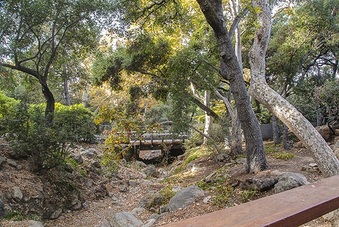 Enlarge photo 63