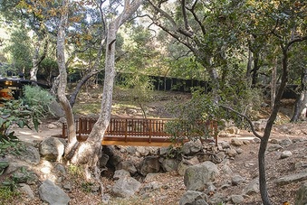 Enlarge photo 64