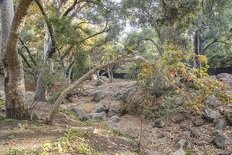 Enlarge photo 65