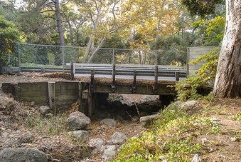 Enlarge photo 66