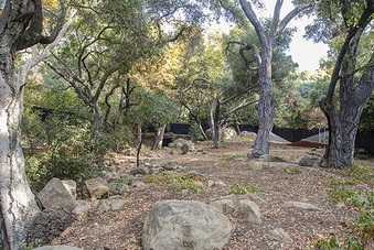Enlarge photo 67