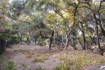 Enlarge photo 68
