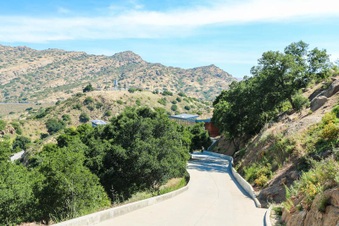 Enlarge photo 13