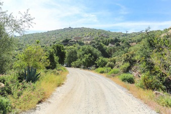 Enlarge photo 33