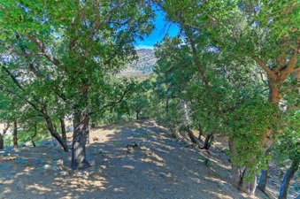Enlarge photo 97