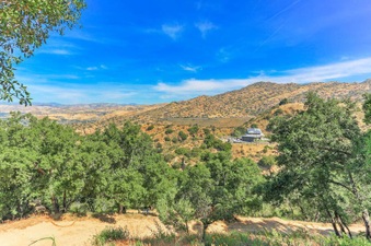 Enlarge photo 104