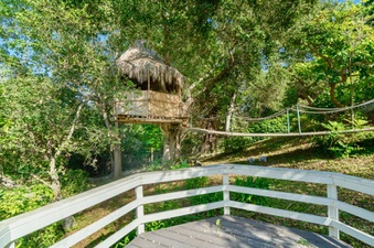 Enlarge photo 35