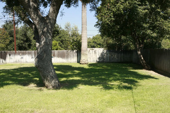 Enlarge photo 56