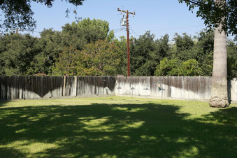 Enlarge photo 57