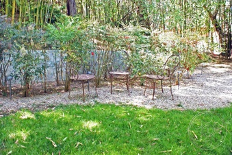 Enlarge photo 71