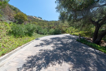 Enlarge photo 43