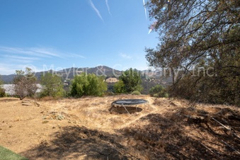 Enlarge photo 107