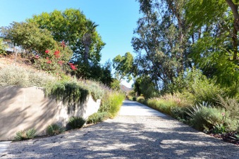 Enlarge photo 92
