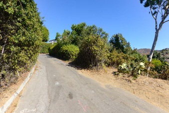 Enlarge photo 94