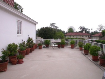 Enlarge photo 34