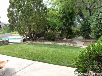 Enlarge photo 55