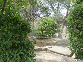 Enlarge photo 59
