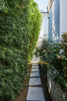 Enlarge photo 30