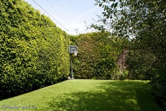 Enlarge photo 50