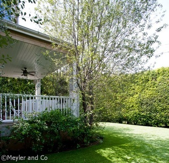 Enlarge photo 52