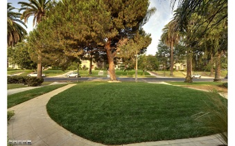 Enlarge photo 44