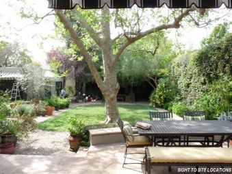 Enlarge photo 51