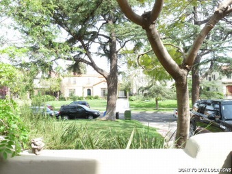 Enlarge photo 71