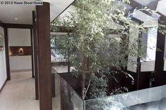 Enlarge photo 30