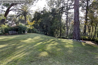 Enlarge photo 67