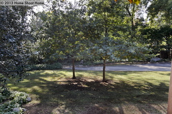 Enlarge photo 72