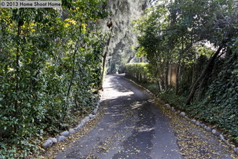 Enlarge photo 78