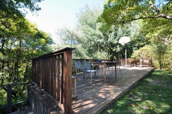 Enlarge photo 41