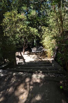 Enlarge photo 46