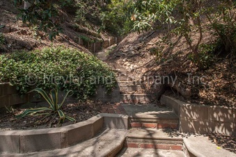 Enlarge photo 81
