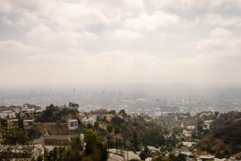 Enlarge photo 102