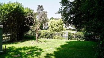 Enlarge photo 58