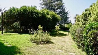 Enlarge photo 59