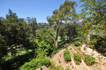 Enlarge photo 80