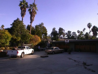 Enlarge photo 81