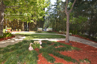 Enlarge photo 72