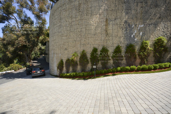 Enlarge photo 79