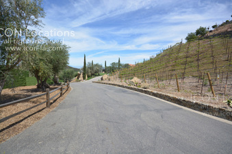 Enlarge photo 68