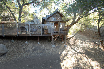 Enlarge photo 72