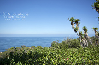 Enlarge photo 63