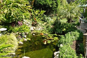 Enlarge photo 39