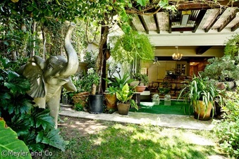 Enlarge photo 43