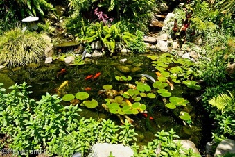 Enlarge photo 50