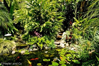 Enlarge photo 51