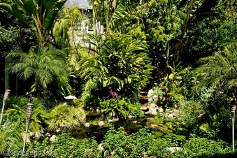 Enlarge photo 52